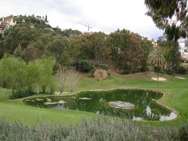 Ferienwohnung in Nueva Andalucia (M�laga) oder Ferienwohnung oder Ferienhaus