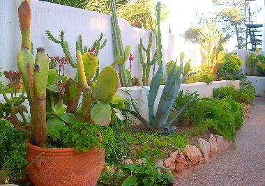 Ferienhaus in Sol de Mallorca (Mallorca) oder Ferienwohnung oder Ferienhaus