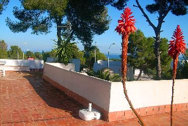 Ferienhaus in Sol de Mallorca (Mallorca) oder Ferienwohnung oder Ferienhaus