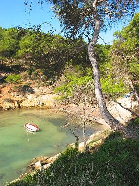 Ferienhaus in Sol de Mallorca (Mallorca) oder Ferienwohnung oder Ferienhaus