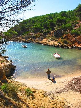 Ferienhaus in Sol de Mallorca (Mallorca) oder Ferienwohnung oder Ferienhaus