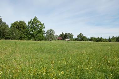 Ferienhaus in Litene (Lettland) oder Ferienwohnung oder Ferienhaus