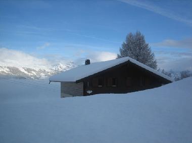 Ferienhaus in Nendaz (Nendaz) oder Ferienwohnung oder Ferienhaus