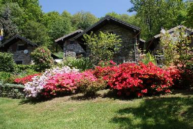 Blick auf unsere H�user aus dem Garten