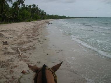In der Umgebung koennen lange Ausritte an unberuehrten Stranden unternommen werden