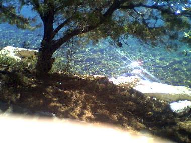 Ferienwohnung in Povlja (Splitsko-Dalmatinska) oder Ferienwohnung oder Ferienhaus