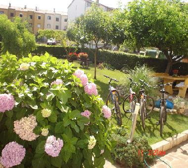 Ferienwohnung in TAR (Istarska) oder Ferienwohnung oder Ferienhaus