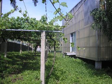 Ferienhaus in Padrin (Pontevedra) oder Ferienwohnung oder Ferienhaus