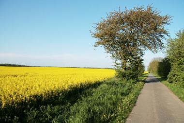 Rad und Wanderweg bei Negast
