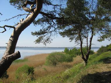 Der Blick von der Steilk�ste nach Lassan