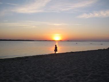 Abendstimmung am Peenestrom mit Nina