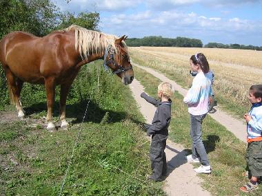 Im Lieper Winkel kann man die Landwirtschaft erleben