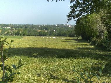 Pension in Courlay (Deux-S�vres) oder Ferienwohnung oder Ferienhaus