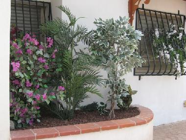 Ferienwohnung in Eilat (HaDarom (Southern)) oder Ferienwohnung oder Ferienhaus