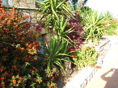 Ferienhaus in Hanioti (Chalkidiki) oder Ferienwohnung oder Ferienhaus