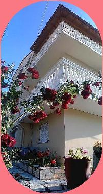 Ferienwohnung in Agios Gordios-Kerkyra (Kerkyra) oder Ferienwohnung oder Ferienhaus