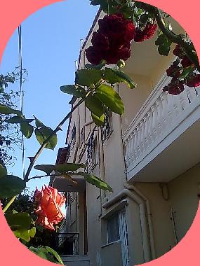 Ferienwohnung in Agios Gordios-Kerkyra (Kerkyra) oder Ferienwohnung oder Ferienhaus