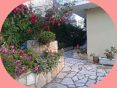 Ferienwohnung in Agios Gordios-Kerkyra (Kerkyra) oder Ferienwohnung oder Ferienhaus