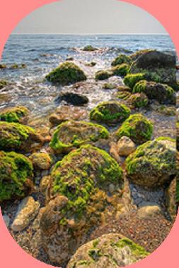 Ferienwohnung in Agios Gordios-Kerkyra (Kerkyra) oder Ferienwohnung oder Ferienhaus