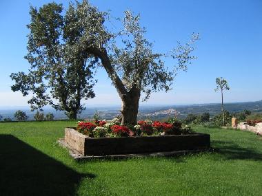 Ferienhaus in CANDELEDA-EL RASO (�vila) oder Ferienwohnung oder Ferienhaus