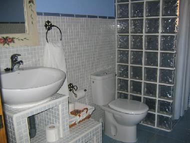 Ferienhaus in CANDELEDA-EL RASO (�vila) oder Ferienwohnung oder Ferienhaus