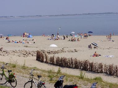 Strand /Westerschelde