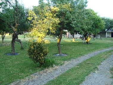 Chalet in Vila Franca (Norte) oder Ferienwohnung oder Ferienhaus