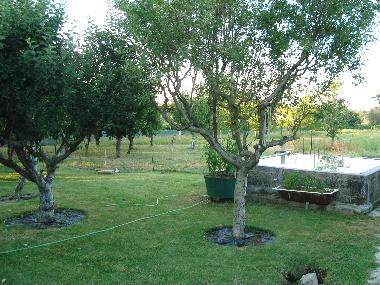 Chalet in Vila Franca (Norte) oder Ferienwohnung oder Ferienhaus