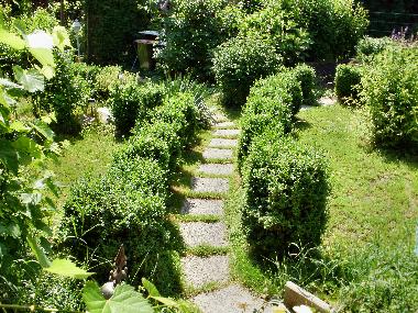 Ferienwohnung in Zellerndorf (Weinviertel) oder Ferienwohnung oder Ferienhaus