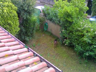 Ferienhaus in Ardea (Roma) oder Ferienwohnung oder Ferienhaus