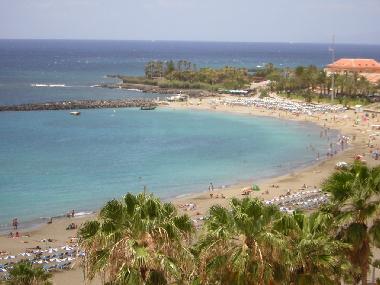 Ferienwohnung in Los Christianos (Teneriffa) oder Ferienwohnung oder Ferienhaus