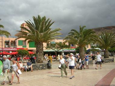 Ferienwohnung in Los Christianos (Teneriffa) oder Ferienwohnung oder Ferienhaus