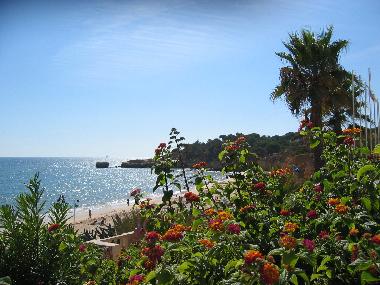 Ferienhaus in Albufeira (Algarve) oder Ferienwohnung oder Ferienhaus