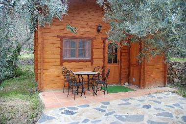 Cabino Olivo