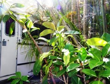 Ferienhaus in fort lauderdale (Florida) oder Ferienwohnung oder Ferienhaus
