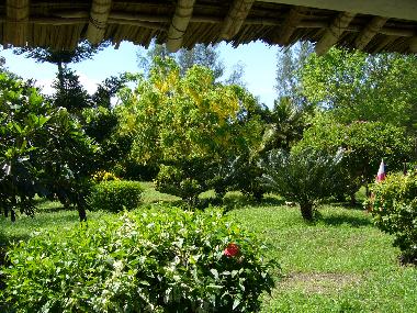 Blick von der um das Haus f�hrenden Terrasse in den Park