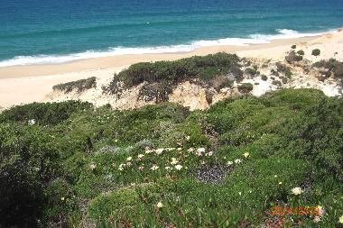 Pension in Melides  (Alentejo Litoral) oder Ferienwohnung oder Ferienhaus