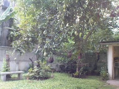 Ferienhaus in Ambalangoda (Galle) oder Ferienwohnung oder Ferienhaus