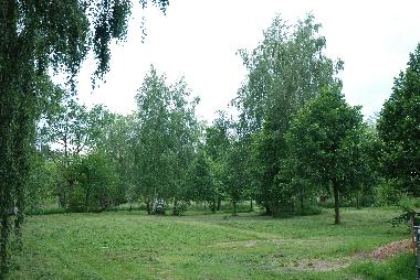 Ferienhaus in wendisch-priborn (Mecklenburgische Seenplatte) oder Ferienwohnung oder Ferienhaus