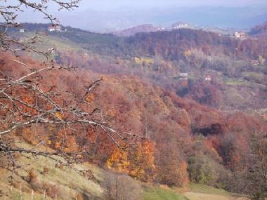Ferienwohnung in Klake (Kozje) oder Ferienwohnung oder Ferienhaus