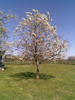 Ferienwohnung in Fincken OT Marienhof (Mecklenburgische Seenplatte) oder Ferienwohnung oder Ferienhaus
