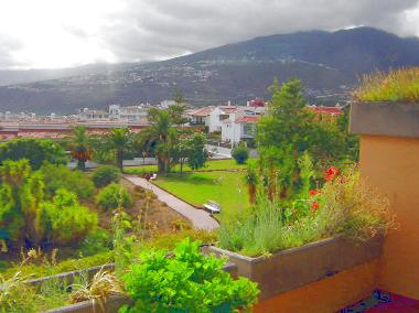 Ferienwohnung in 38400 (Teneriffa) oder Ferienwohnung oder Ferienhaus