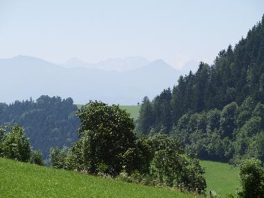Blick von der Terrasse - Hochsommer