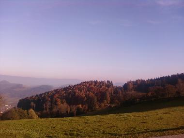 Herbstlicher Blick Richtung Griffen