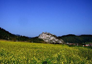 Griffner Schlossberg mit Burg