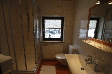 Ferienwohnung in Pettneu (Tiroler Oberland) oder Ferienwohnung oder Ferienhaus