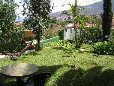 Blick in den Garten vom Schlafzimmer