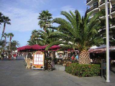 Fussg�ngerzone Puerto de la Cruz