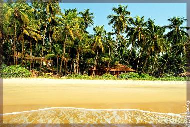 Pension in KANNUR (Kerala) oder Ferienwohnung oder Ferienhaus