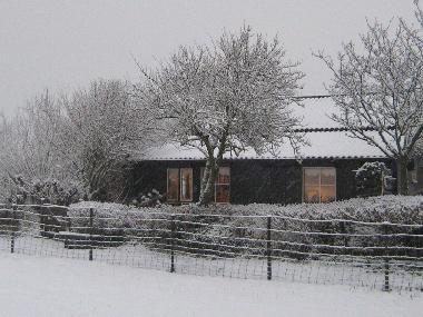 Ferienhaus in Hippolytushoef (Noord-Holland) oder Ferienwohnung oder Ferienhaus